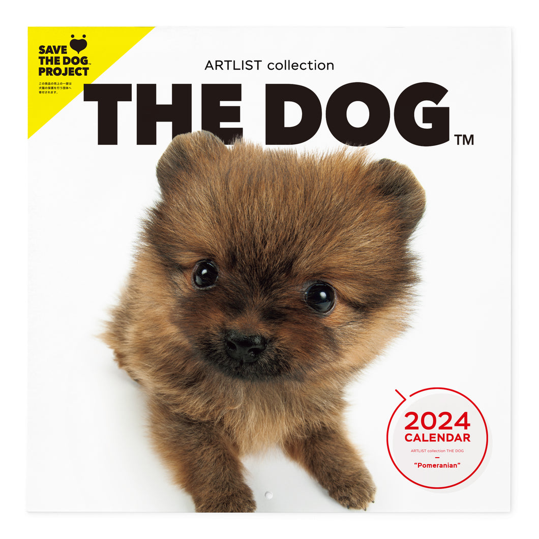 THE DOG 2024 Calendar Large format size (Pomeranian)