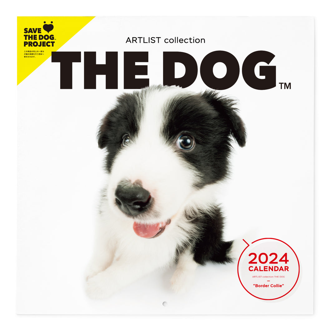 THE DOG 2024 Calendar Large Format Size (Border Collie)
