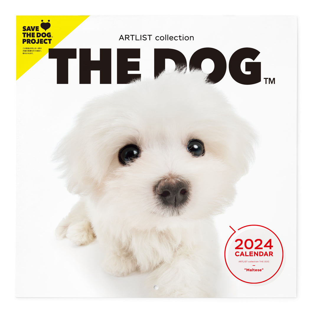 THE DOG 2024 Calendar Large format size (Maltese)