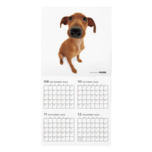 Load image into Gallery viewer, THE DOG 2024 Calendar Large format size (miniature pinscher)
