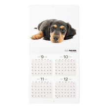 Load image into Gallery viewer, THE DOG 2024 Calendar Mini Size (Dachshund)
