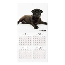 画像をギャラリービューアに読み込む, THE DOG 2024年カレンダー ミニサイズ（パグ）

