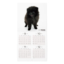 画像をギャラリービューアに読み込む, THE DOG 2024年カレンダー ミニサイズ（ポメラニアン）
