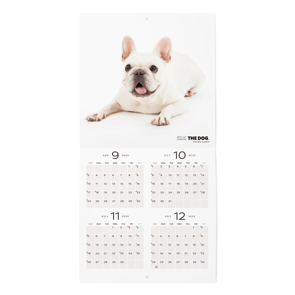 THE DOG 2024年カレンダー ミニサイズ（フレンチ・ブルドッグ） – THE DOG STORE