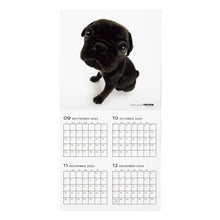 Load image into Gallery viewer, THE DOG 2024 Calendar Large format size (pug)
