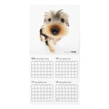 Load image into Gallery viewer, THE DOG 2024 Calendar Large format size (Yorkshire Terrier)
