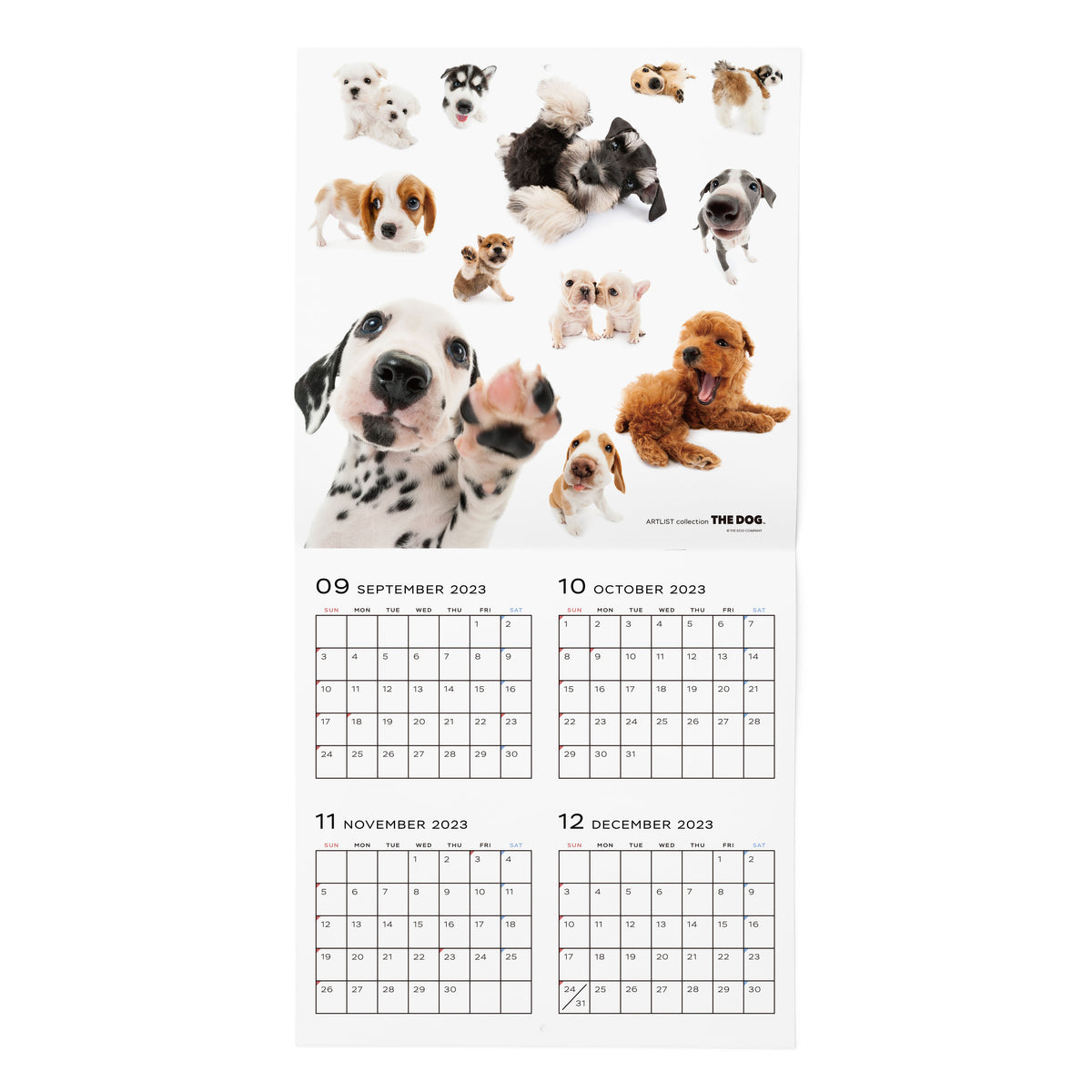 THE DOG 2024年 カレンダー 大判サイズ（ジャック・ラッセル・テリア）壁掛け ブックレット式 魚眼レンズ  オリジナルシール付き 動物 いぬ イヌ 犬 壁掛 