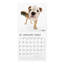 画像をギャラリービューアに読み込む, THE DOG 2024年カレンダー 大判サイズ（ブルドッグ）

