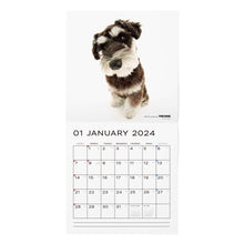 Load image into Gallery viewer, THE DOG 2024 Calendar Large Format Size (Miniature Schnauzer)
