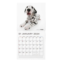 Load image into Gallery viewer, THE DOG 2024 Calendar Large format size (Dalmatian)
