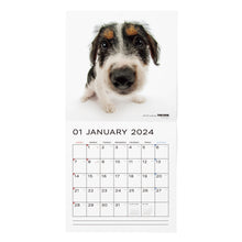 画像をギャラリービューアに読み込む, THE DOG 2024年カレンダー 大判サイズ（ジャック・ラッセル・テリア）
