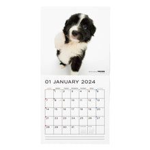 Load image into Gallery viewer, THE DOG 2024 Calendar Large Format Size (Border Collie)
