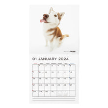 Load image into Gallery viewer, THE DOG 2024 Calendar Large format size (Siberian Husky)
