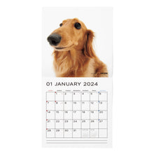 画像をギャラリービューアに読み込む, THE DOG 2024年カレンダー 大判サイズ（ダックスフンド）
