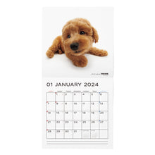 Load image into Gallery viewer, THE DOG 2024 Calendar Large format size (poodle)
