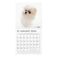 Load image into Gallery viewer, THE DOG 2024 Calendar Large format size (Pomeranian)
