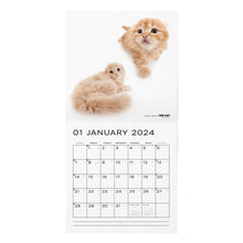 Load image into Gallery viewer, THE CAT 2024 Calendar large format size (all -star)
