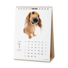 Load image into Gallery viewer, THE DOG 2024 Calendar Desktop Size (Dachshund)
