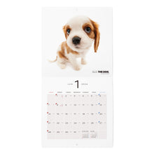 画像をギャラリービューアに読み込む, THE DOG 2024年カレンダー ミニサイズ（キャバリア・キング・チャールズ・スパニエル）

