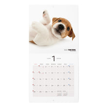 Load image into Gallery viewer, The Dog 2024 Calendar Mini Size (Jack Russell Terrier)
