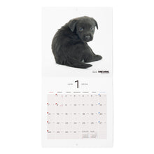 Load image into Gallery viewer, THE DOG 2024 Calendar Mini Size (Labrador Retriever)
