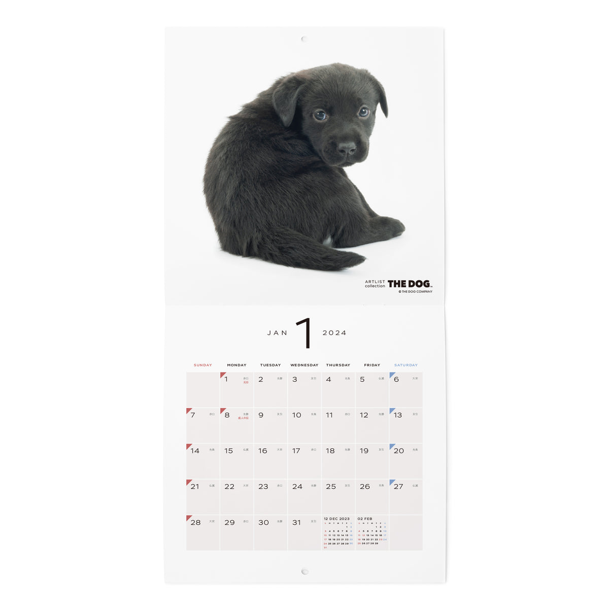 THE DOG 2024年カレンダー ミニサイズ（ラブラドール・レトリーバー） THE DOG STORE