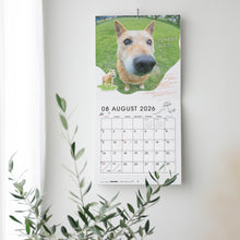 画像をギャラリービューアに読み込む, SAVE THE DOG 2026カレンダー【予約：2025年12月下旬より順次発送】

