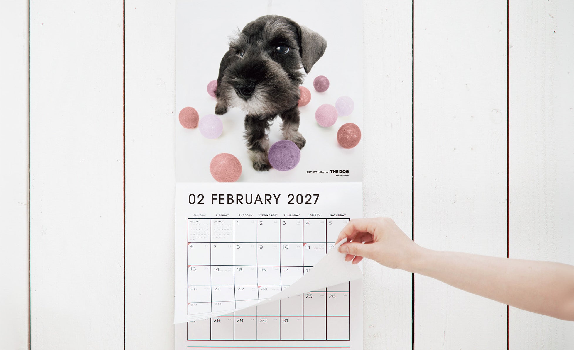 公式】THE DOG CALENDAR（ザ・ドッグ カレンダー） | 人気の理由