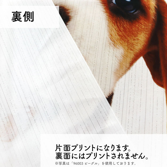 のれん THE DOG バーニーズ・マウンテン・ドッグ（90cm丈）