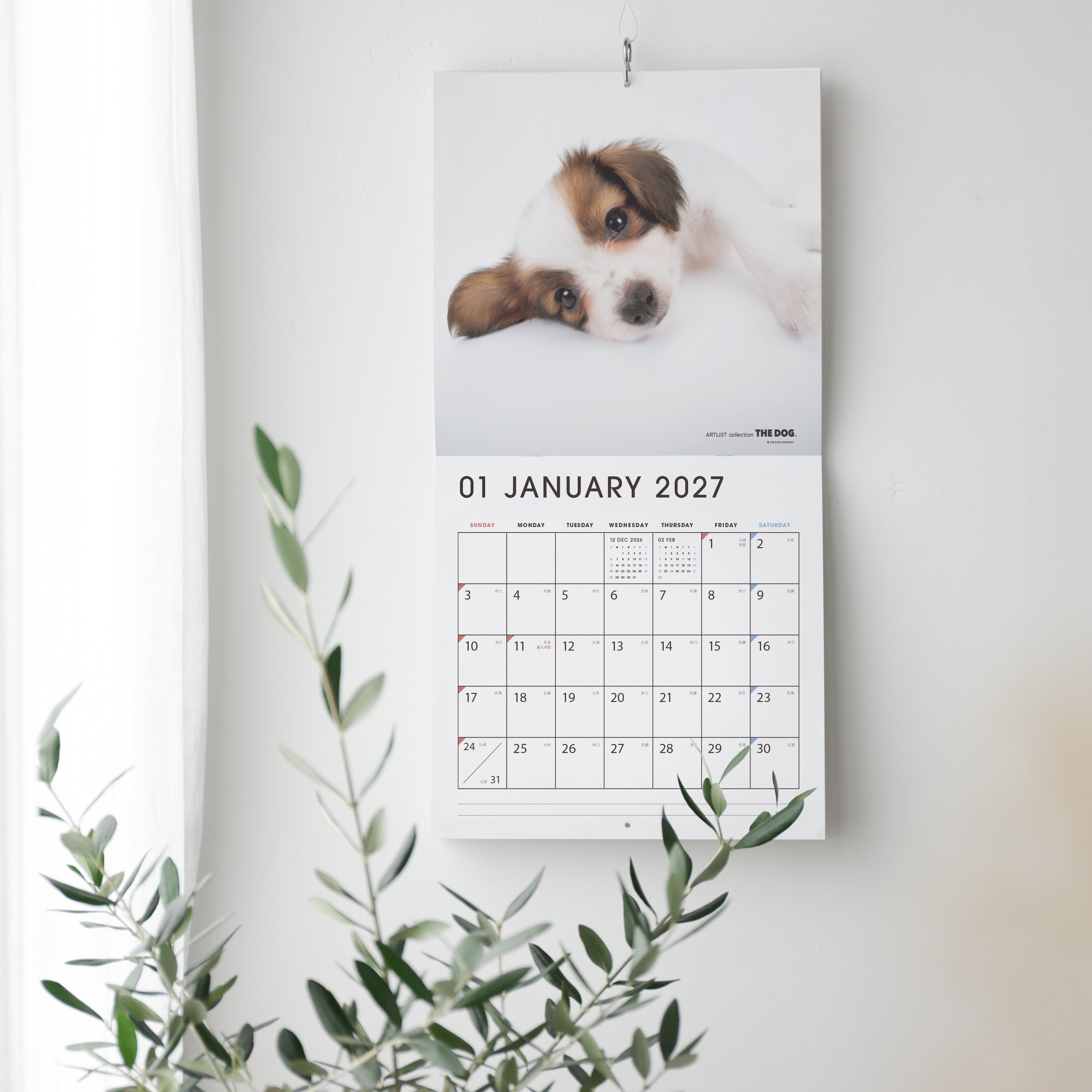 公式】THE DOG CALENDAR（ザ・ドッグ カレンダー） | 人気の理由