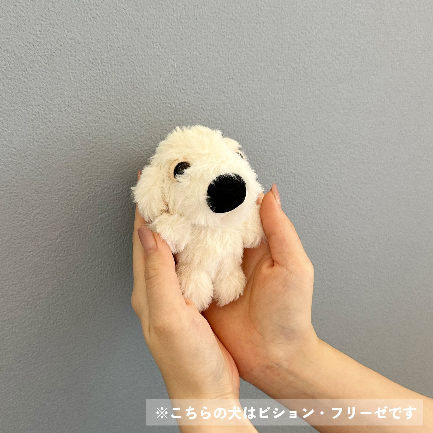 THE DOG ぬいぐるみキーホルダー マルチーズ – THE DOG STORE