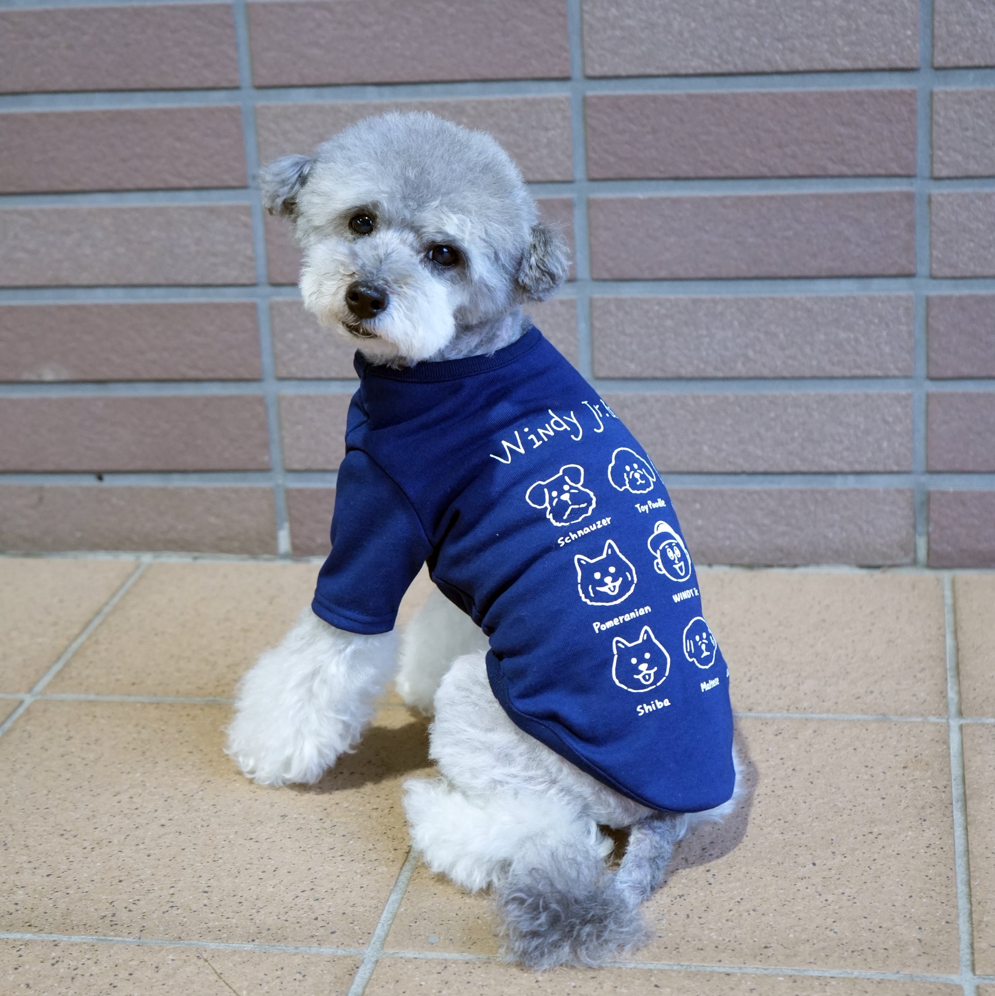 犬用】UNIVERSAL OVERALL DOG Tシャツ (ネイビー) – THE DOG STORE