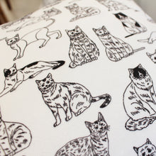 Load image into Gallery viewer, THE CAT × SHOGO SEKINE Total Pattern Cushion
