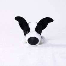 Load image into Gallery viewer, THE DOG ぬいぐるみ Mini（Border Collie）ボーダーコリー
