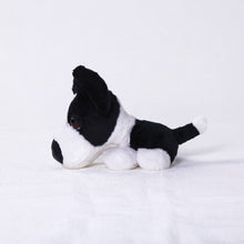 Load image into Gallery viewer, THE DOG ぬいぐるみ Mini（Border Collie）ボーダーコリー
