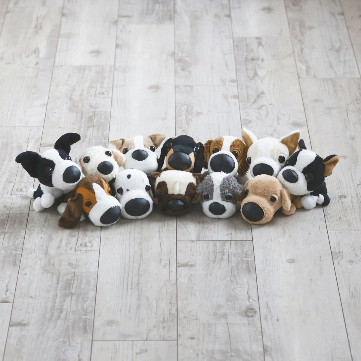THE DOG Plush Mini (Border Collie) THE DOG STORE THE DOG Official Online  Shop