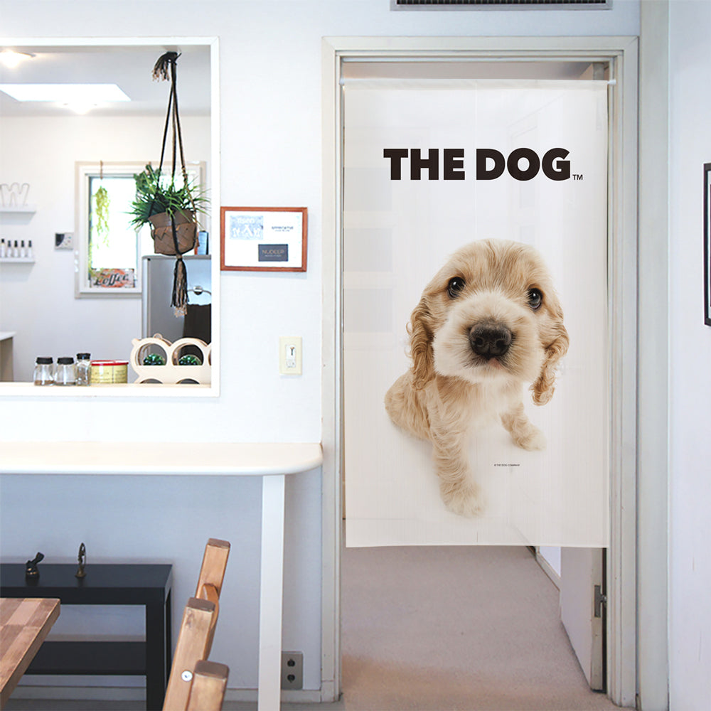 アメリカン・コッカー・スパニエル | THE DOG STORE | THE DOG 公式