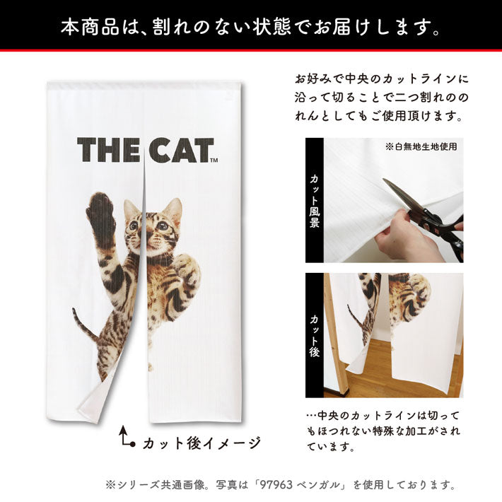 のれん THE CAT アメリカン・ショートヘア（ブラウン 150cm丈） – THE