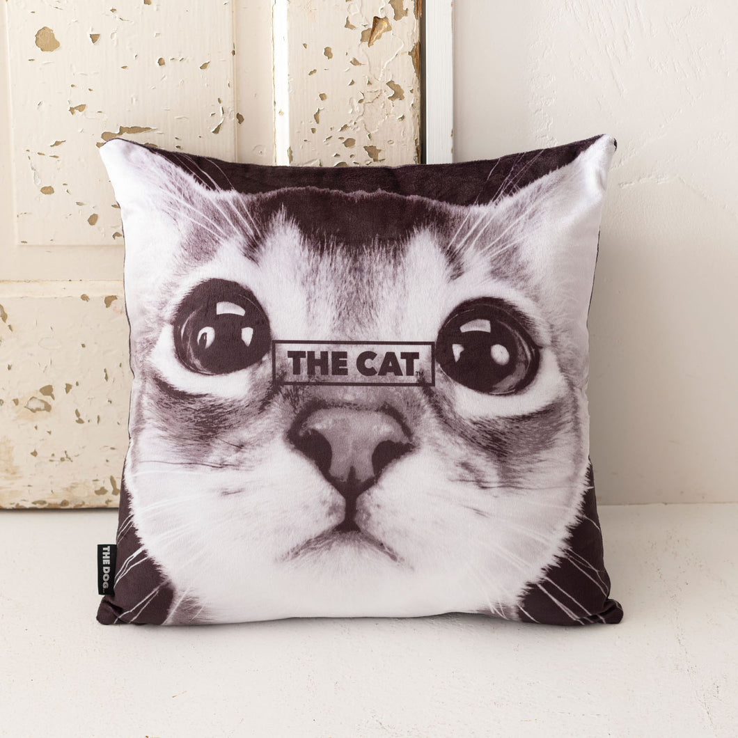 The cat cushion